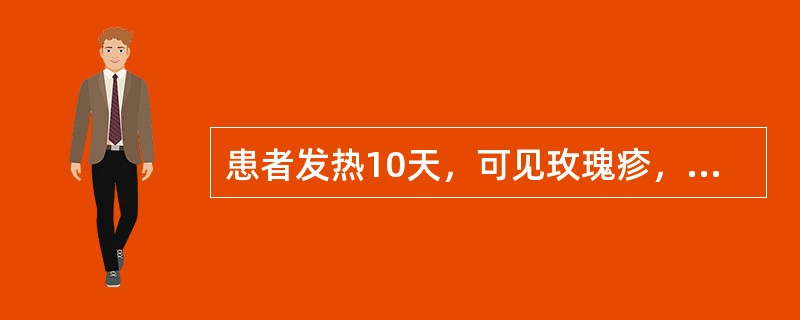 患者发热10天，可见玫瑰疹，脾稍大，疑似伤寒，检查确诊率最高的是（　　）。