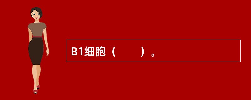 B1细胞（　　）。