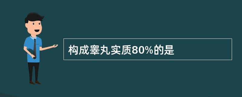 构成睾丸实质80%的是