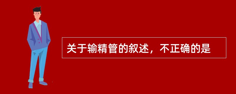 关于输精管的叙述，不正确的是