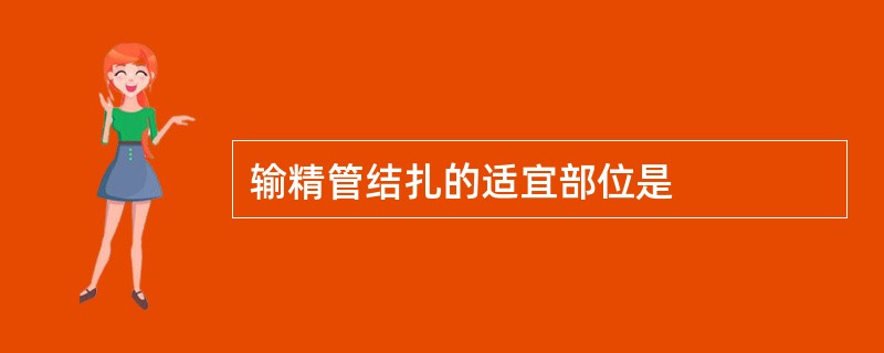 输精管结扎的适宜部位是