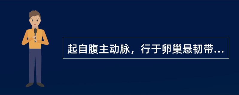 起自腹主动脉，行于卵巢悬韧带内的是