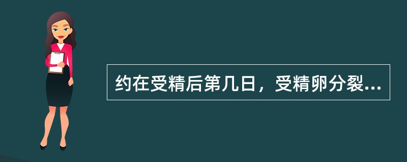 约在受精后第几日，受精卵分裂成为16个细胞组成的桑葚胚