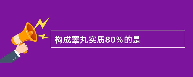 构成睾丸实质80％的是