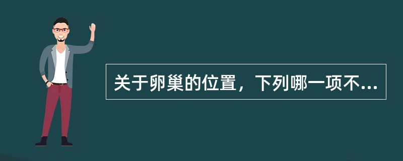 关于卵巢的位置，下列哪一项不正确