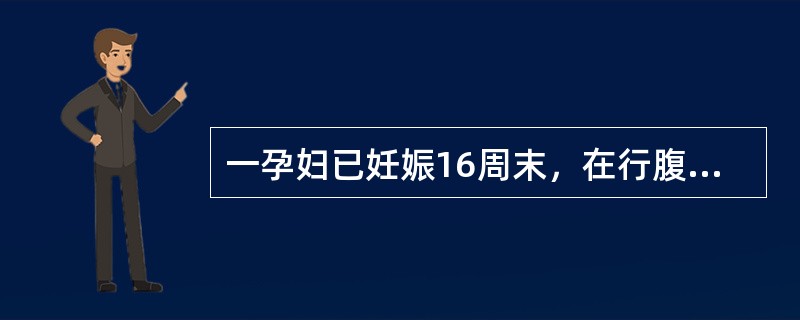 一孕妇已妊娠16周末，在行腹部扪诊检查时，子宫底高度应在