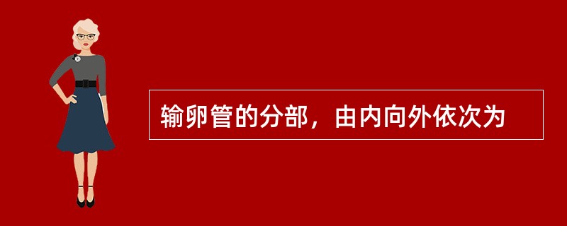 输卵管的分部，由内向外依次为