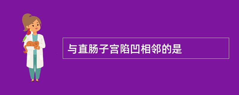 与直肠子宫陷凹相邻的是