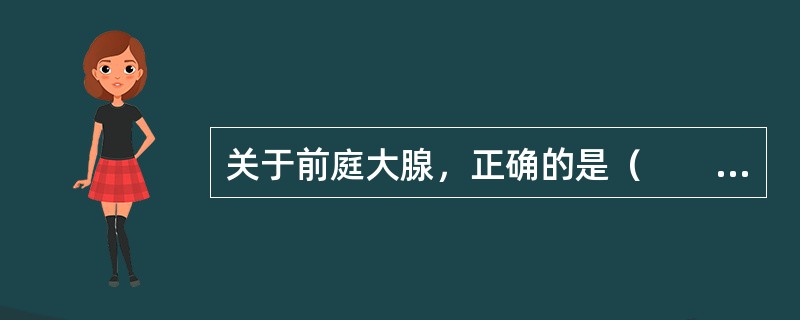 关于前庭大腺，正确的是（　　）。