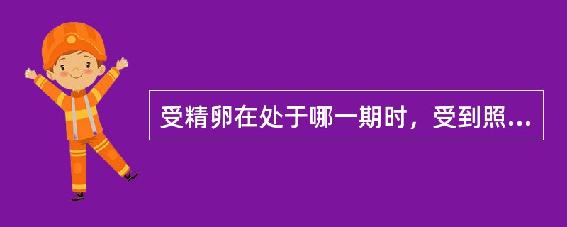 受精卵在处于哪一期时，受到照射的效应表现为显性致死性效应