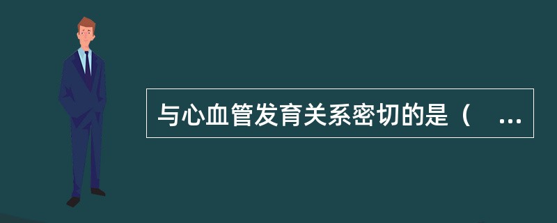 与心血管发育关系密切的是（　　）。