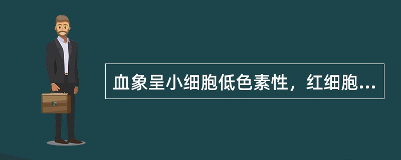 血象呈小细胞低色素性，红细胞体积（MCV）＜80fl，是