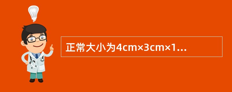 正常大小为4cm×3cm×1cm，重5～6g，呈灰白色，表面无腹膜的是（　　）。