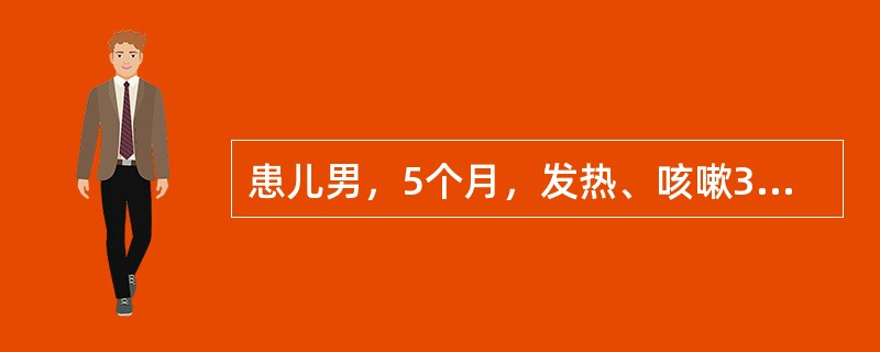 患儿男，5个月，发热、咳嗽3天，伴气促、喘憋，精神不振。查体：体温39℃，呼吸48次/分。双肺可闻及喘鸣，基底部可闻及细湿啰音。胸片显示两肺有小片阴影。最可能的诊断的是（　　）。