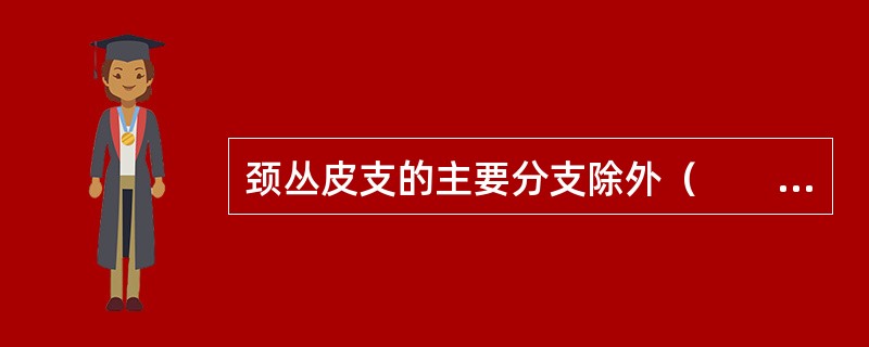 颈丛皮支的主要分支除外（　　）。