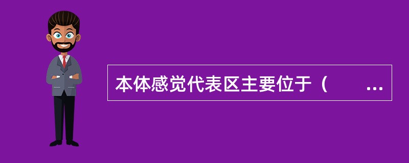 本体感觉代表区主要位于（　　）。