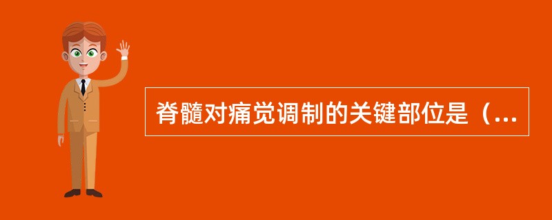 脊髓对痛觉调制的关键部位是（　　）。