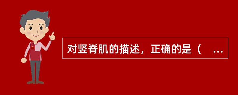 对竖脊肌的描述，正确的是（　　）。