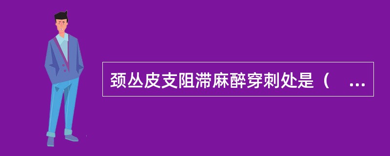 颈丛皮支阻滞麻醉穿刺处是（　　）。