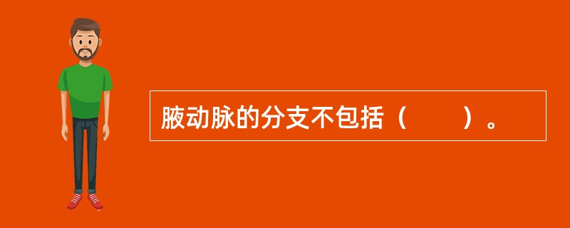腋动脉的分支不包括（　　）。