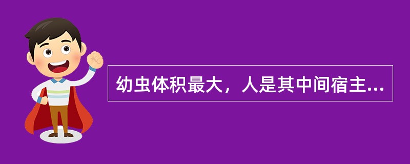 幼虫体积最大，人是其中间宿主的绦虫是（　　）。