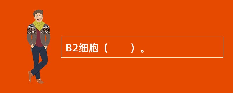 B2细胞（　　）。