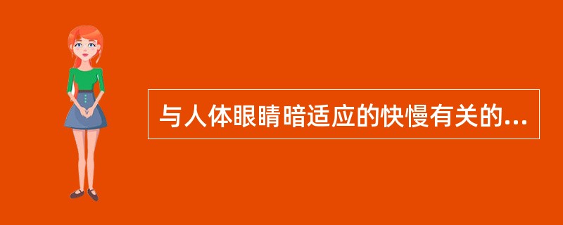 与人体眼睛暗适应的快慢有关的维生素是