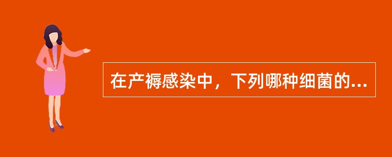 在产褥感染中，下列哪种细菌的感染最易发生感染性休克？（　　）