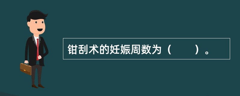 钳刮术的妊娠周数为（　　）。