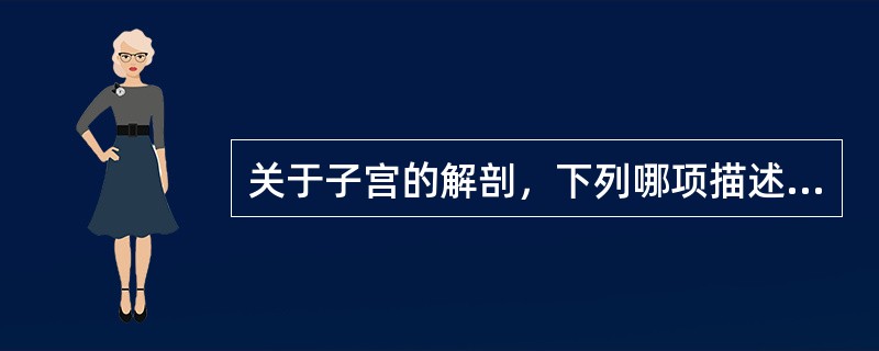 关于子宫的解剖，下列哪项描述是正确的（　　）。