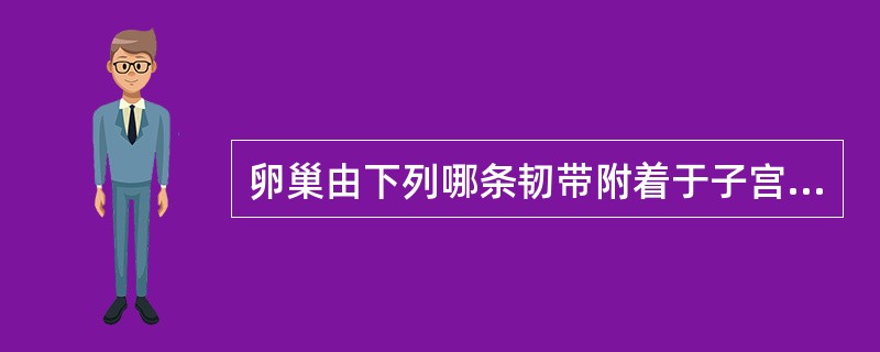 卵巢由下列哪条韧带附着于子宫与输卵管结合处？（　　）