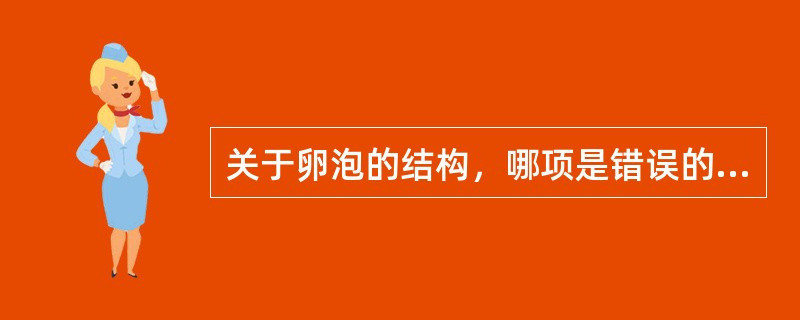 关于卵泡的结构，哪项是错误的（　　）。