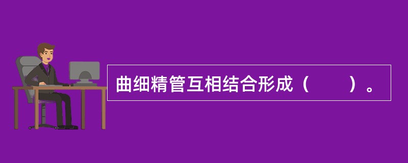 曲细精管互相结合形成（　　）。