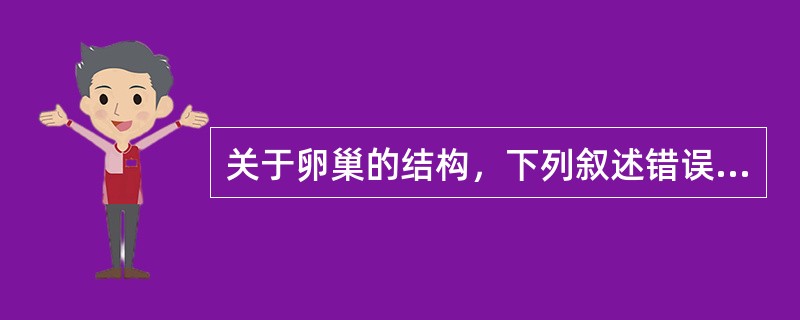 关于卵巢的结构，下列叙述错误的是（　　）。