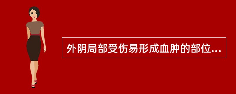 外阴局部受伤易形成血肿的部位是（　　）。