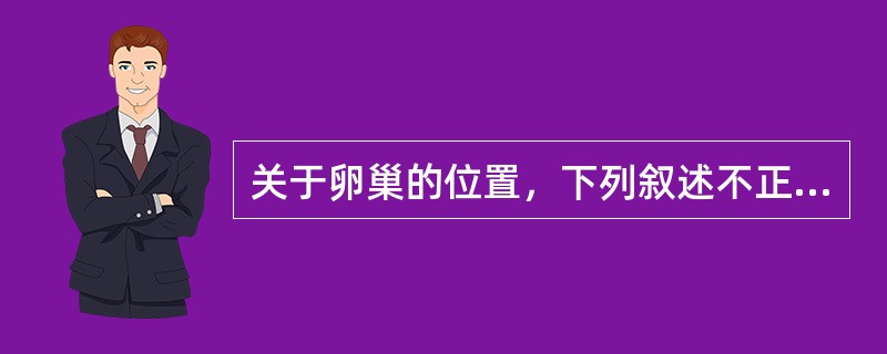 关于卵巢的位置，下列叙述不正确的是（　　）。