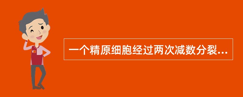 一个精原细胞经过两次减数分裂产生的精细胞数目是（　　）。