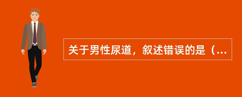 关于男性尿道，叙述错误的是（　　）。