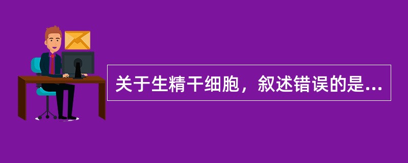 关于生精干细胞，叙述错误的是（　　）。