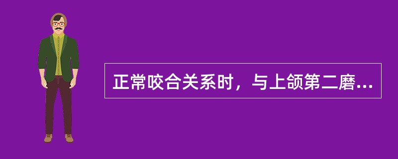 正常咬合关系时，与上颌第二磨牙近中舌尖相接触的是（　　）。