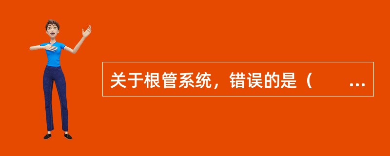 关于根管系统，错误的是（　　）。