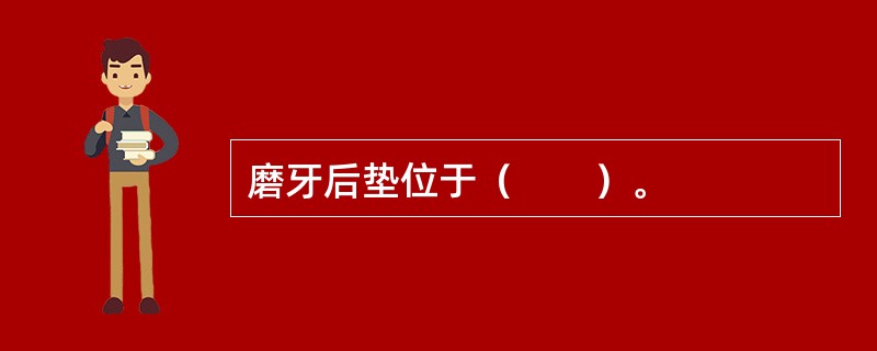 磨牙后垫位于（　　）。