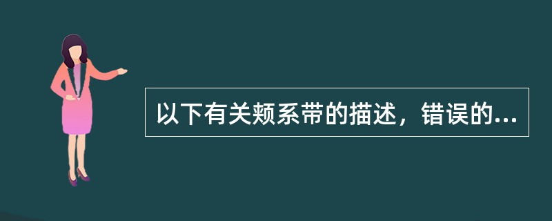 以下有关颊系带的描述，错误的是（　　）。