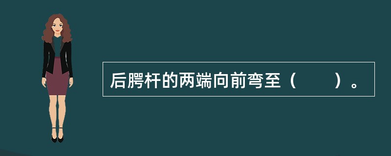 后腭杆的两端向前弯至（　　）。