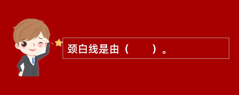 颈白线是由（　　）。