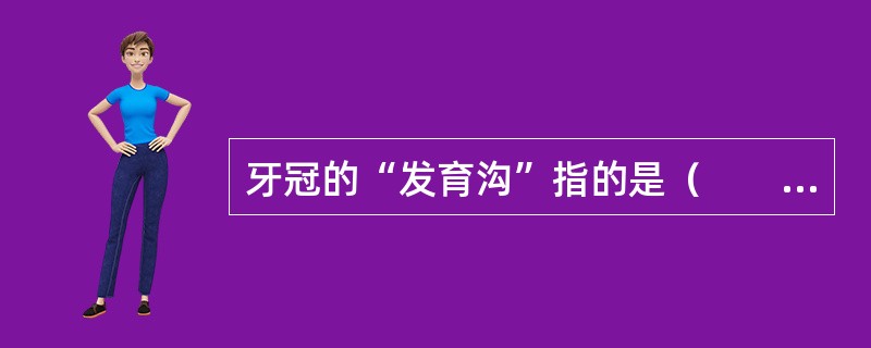 牙冠的“发育沟”指的是（　　）。