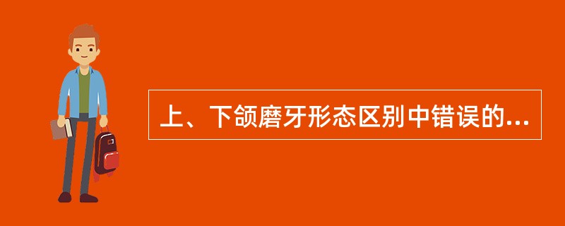 上、下颌磨牙形态区别中错误的是（　　）。