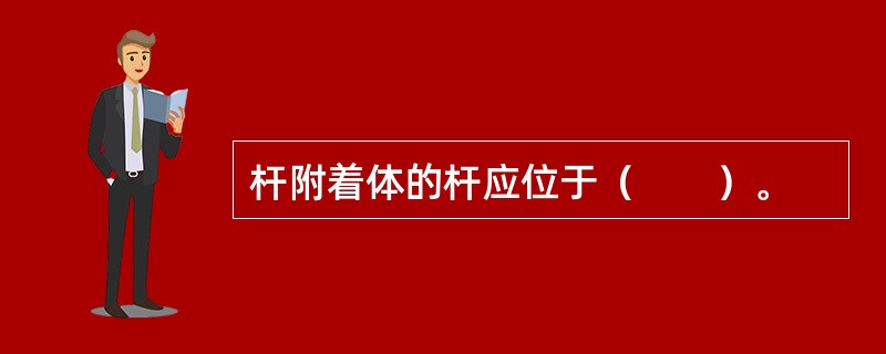 杆附着体的杆应位于（　　）。