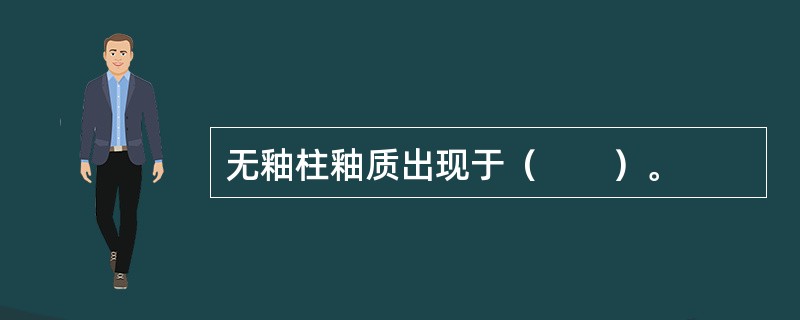 无釉柱釉质出现于（　　）。
