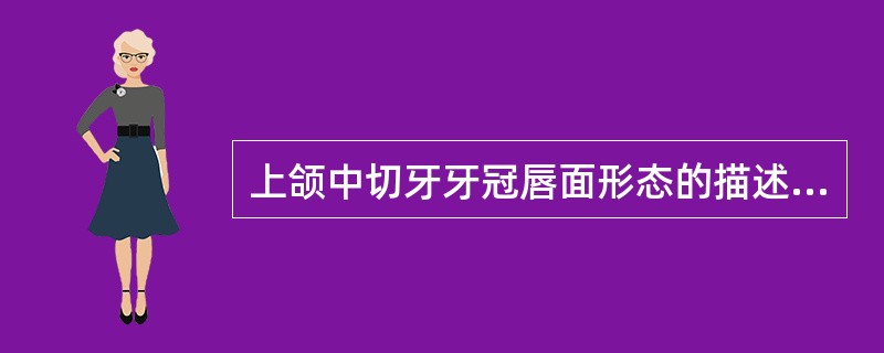 上颌中切牙牙冠唇面形态的描述中，不正确的是（　　）。